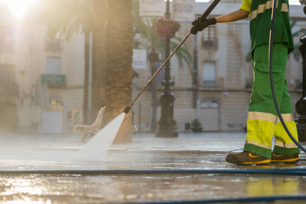 Best Animal Enclosure Cleaning  in Riverside, IA